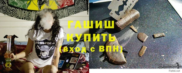 стафф Бородино