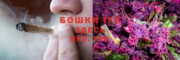 стафф Бородино