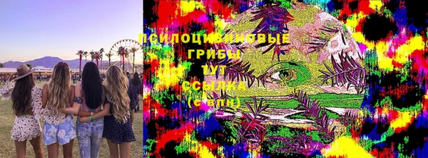 стафф Бородино