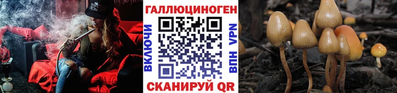 Псилоцибиновые грибы Psilocybe  Купить закладки  Краснозаводск 